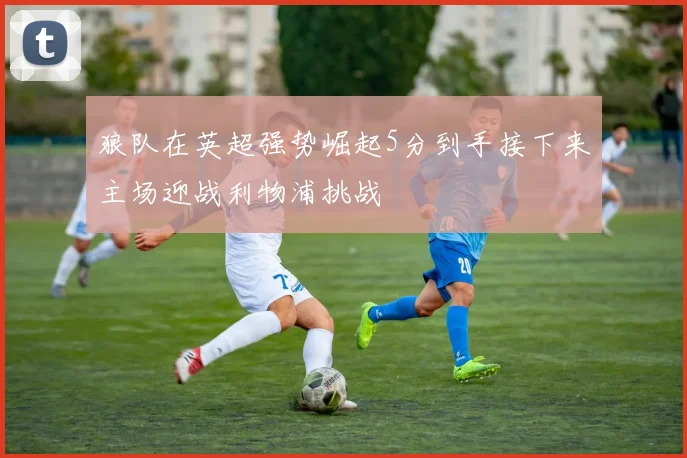 狼队在英超强势崛起5分到手接下来主场迎战利物浦挑战