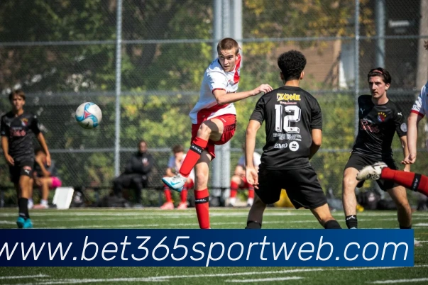 beats365体育平台生态图