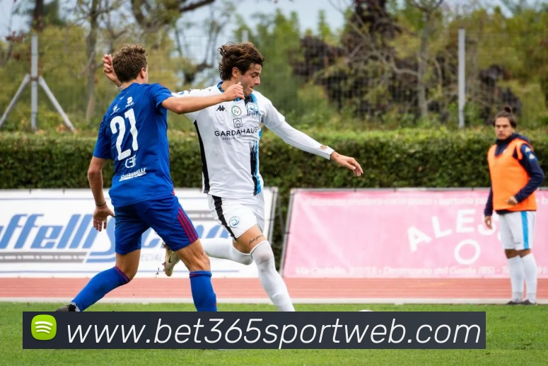 beats365体育APP 封面图